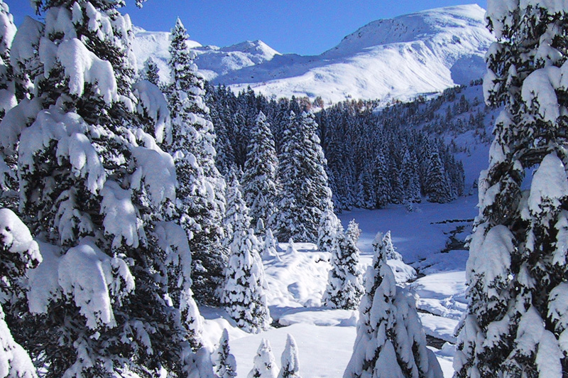 Jochen Wieser, Schischule Hohe Tauern, Schischulpreise